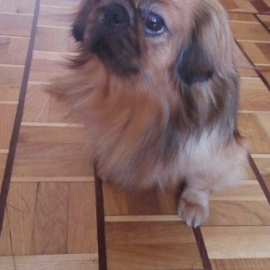 Cutlewdirmey ucun erkey pikines var ,,,diwi pikinesi olan buyursun...