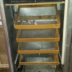 İnqubator satılır. 550-600 toyuğ yumurtası tutur. Tam avtomatik işləyi