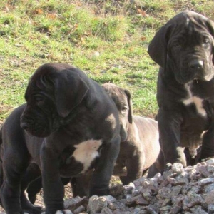 дата рождения 7 октября есть мальчики и девочкис