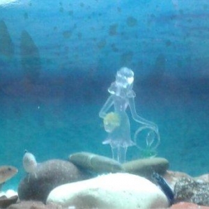 Gördüyünüz bu akvarium hündürlüyü 40 sm uz