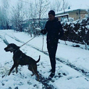 diwidi anasi azerbaycan temiz qurtpasar sortudu atasi daqsdan cenpiyon