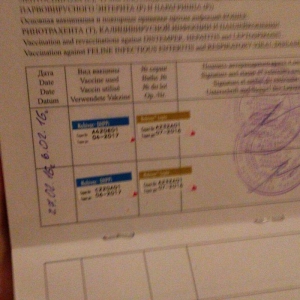 Tecili! Pameranski Spis butun senedleri ile esyalari ile birge 800 man