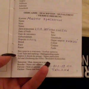 Tecili! Pameranski Spis butun senedleri ile esyalari ile birge 800 man