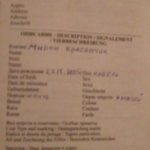 Tecili! Pameranski Spis butun senedleri ile esyalari ile birge 800 man