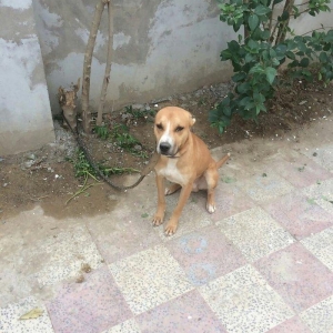 8ayinin icindedi yaxwi baxilib qiymetde endirimde ederem