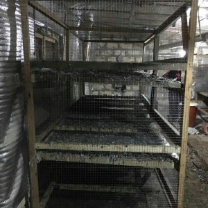 teserufat ucun siginacag sam mohkem
eni 1.20
uzunlugu her olcude var