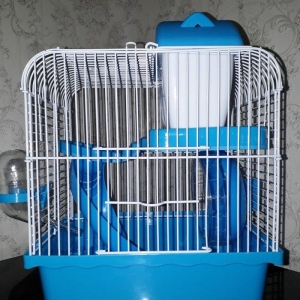 Çunqarikler ve xamyaklar ucun teze qefes icinin h