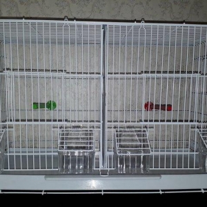 Quslarcun ortadan iki hisseye bolunen boyuk qefes 