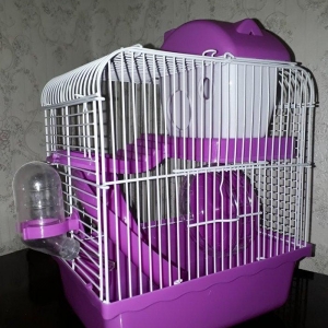 Çunqarikler ve xamyaklar ucun teze qefes icinin h