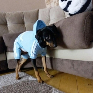 L  razmer yenidirler cekmek ucun geydirdim.eynine olmur hec biri.25 ma