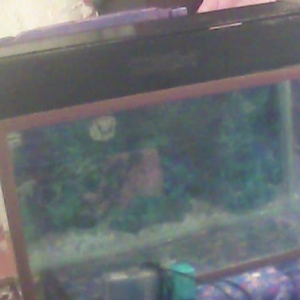 Uzunu60 eni20 hundurluyu 30 qapaqida var(30-35 litr su tutr)