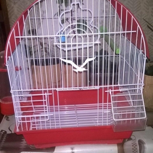 Quş ücün   + su qabı və yem qabı
15 man   ə