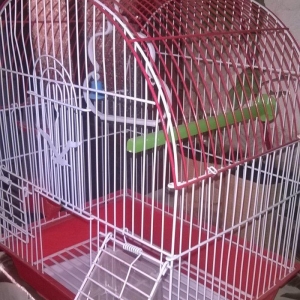 Quş ücün   + su qabı və yem qabı
15 man   əla vəziyyətdə     yeni