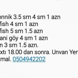 baliqlar 1 azn 1.50 az. unvan yeni yasamal.
limonnik
delfin
faer fiş
p