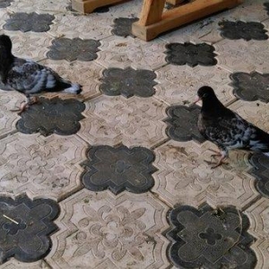 Qarabas 17. 16. Tuk qara xalcali keven quslar. Sekiller    10 gun once