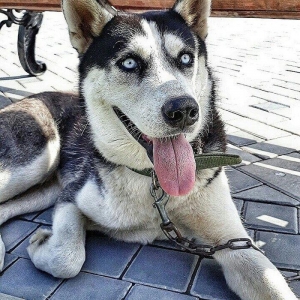 10 qyligdir senedi zadi her weyi var