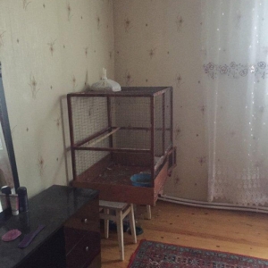 Qefes satılır 2dene papuqay ucun yuva verilecek ustunde xaiş olunur bo