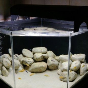 1) 160 litr akvarium. 2)3338 Atman biofilteri.