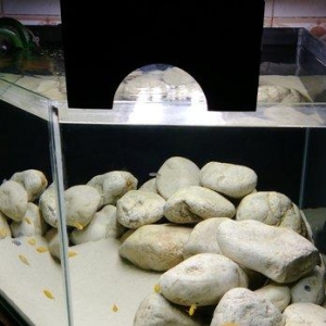 1) 160 litr akvarium. 2)3338 Atman biofilteri.