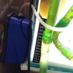 1) 160 litr akvarium. 2)3338 Atman biofilteri.