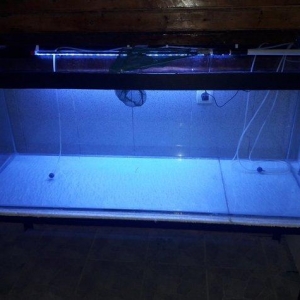 Təcili 500 litirlik akvarium satılır, ölçül