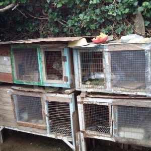 salam 5 dene bala dovsan satiram 45 qunlukdu ax ve