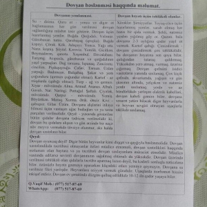 kiçik dovşan balaları satılır. Sağlam və təmizdilər. Dovşan balaları ç