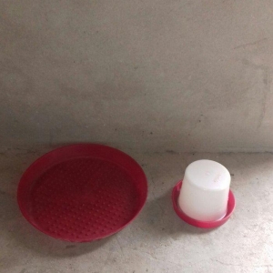 Broller  toya cuce yem 've su qablari ( kicik 've balaca ) satilir qiy