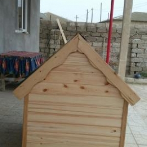 it yivasi. olculer yaxwidi her olcude it yerwer icene. laklanib. ico i