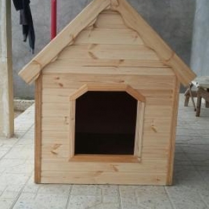 it yivasi. olculer yaxwidi her olcude it yerwer icene. laklanib. ico i