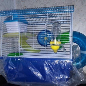 Xamyak ve chunqarikler ucun teze qefes boyukdur ik