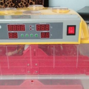 Inkubator ela veziyetdedi tam aftamatiqdi 72 eded toyuq yumurtasi tutu