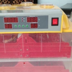 Inkubator ela veziyetdedi tam aftamatiqdi 72 eded toyuq yumurtasi tutu