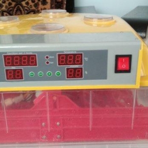 Inkubator ela veziyetdedi tam aftamatiqdi 72 eded toyuq yumurtasi tutu