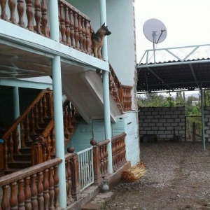 1 yasi yanvarda olacag temiz nemka vaksinleri vutulub komandalar bilir