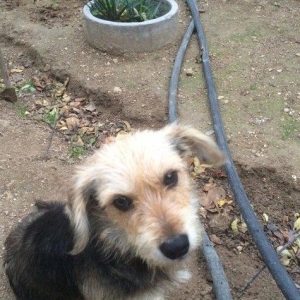 Ev iti tecili satıram saxlamağa şeraitim olmad�