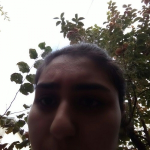 продается 9 месячная кошка,глаза хамелон,к лотку приучена,
9 aylig diw