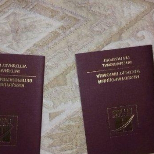 tibet massivi.1-cutdu. erkek ve diwi.1yas 3ayliqdilar. 3yawinda 100 kl