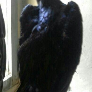 heyrati bece cinsi samo.giymeti 150 manat.bu nomreyle elaqe saxlayin 0