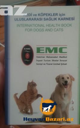 Golden cinsi dişi it