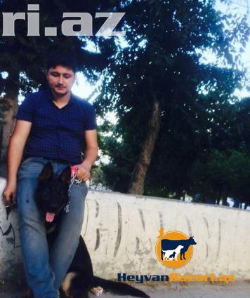 Afcarka temiz deyerinden awagi