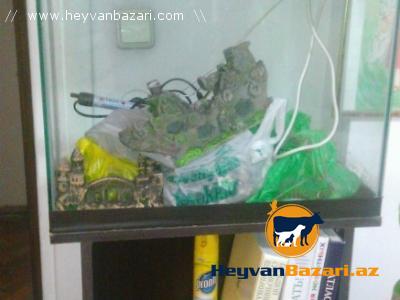 Продается аквариум