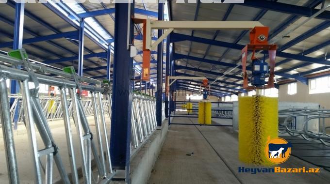 Muasir Fermaların qurulması