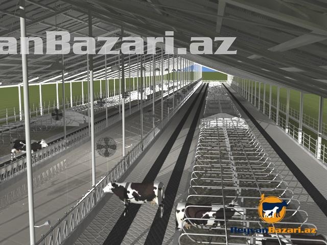 Muasir Fermaların qurulması