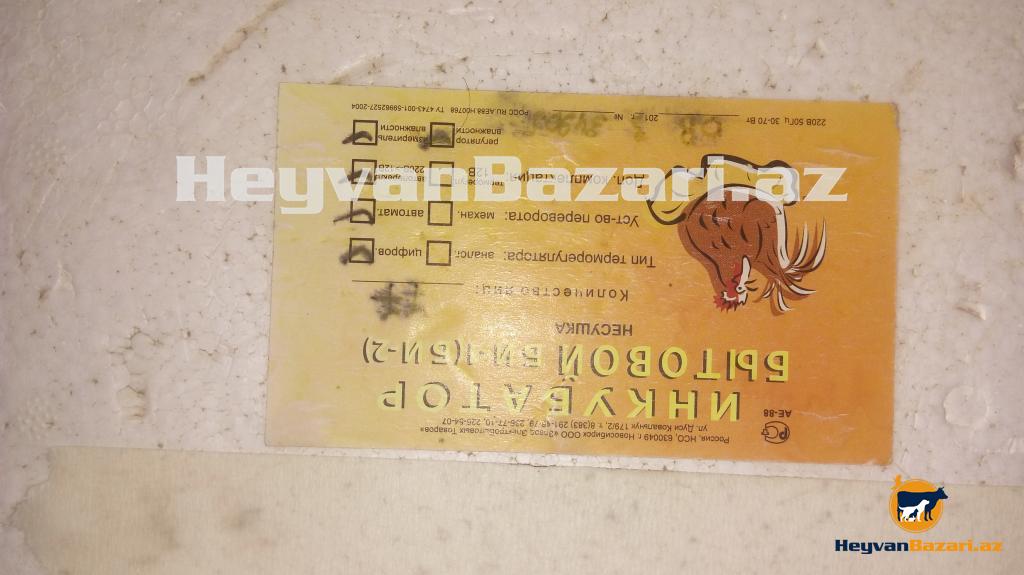 Tam Avtamat inqibatir